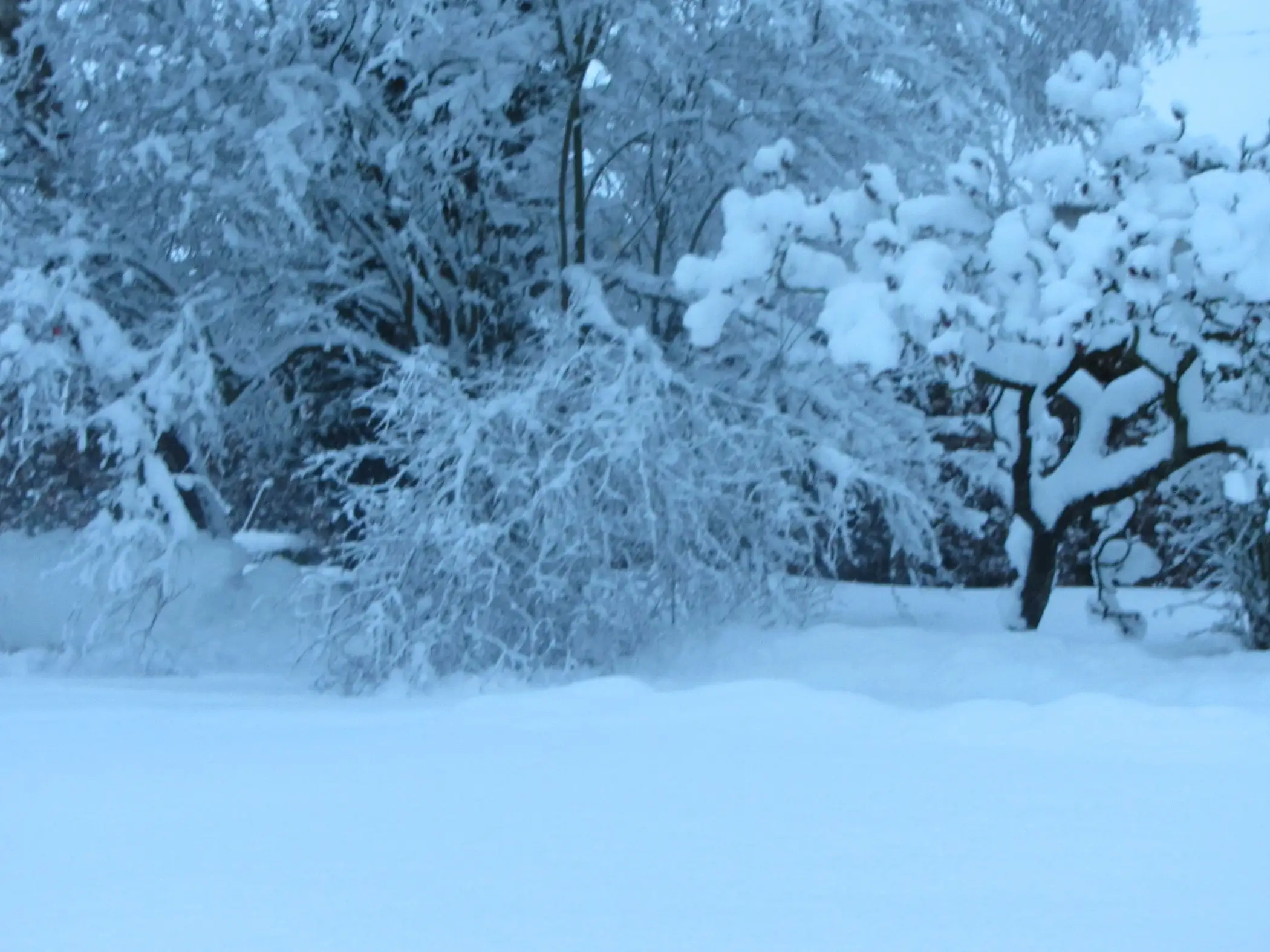Gîte pour 8 personnes à Tenneville Au Potager